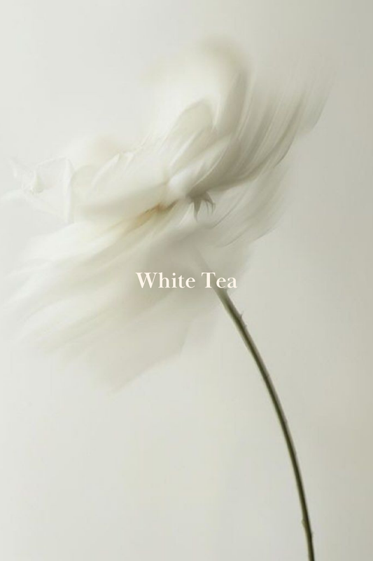 White Tea